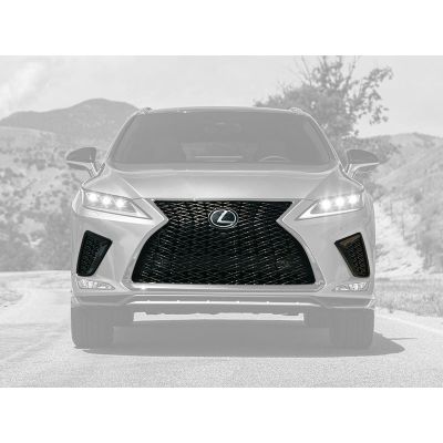 2020-2021 Lexus RX300 RX350 RX450H RX450HL Grille