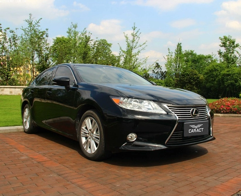 2013 Lexus ES Front Bumper Grille Original