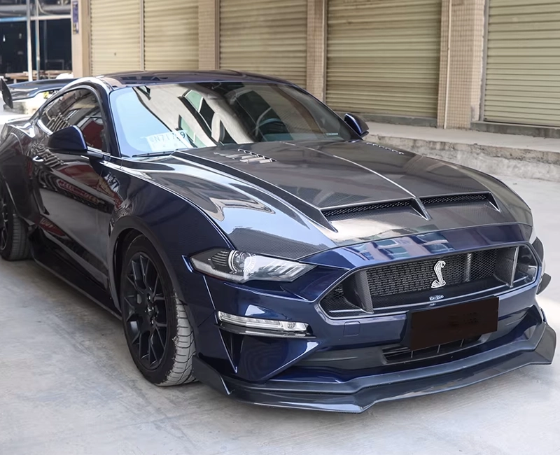 2019 Ford Mustang GT with Cervinis carbon fiber hood