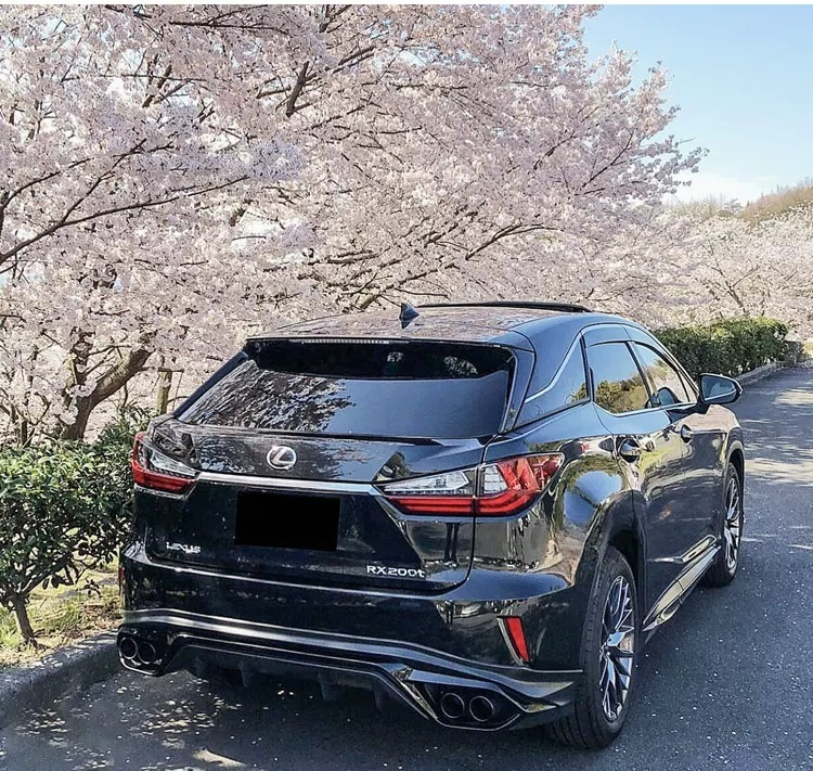 Lexus RX carbon fiber body kit