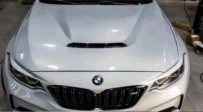 BMW F22 GTS hood
