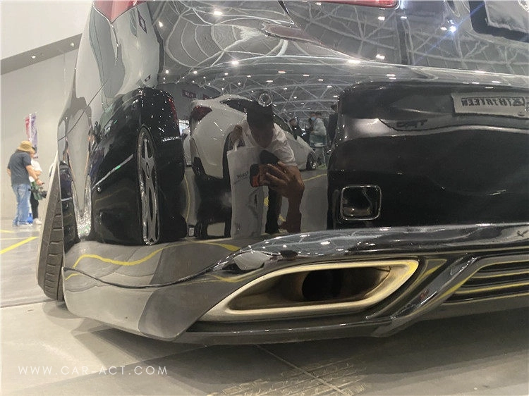 Lexus LS Black Bison style extensions